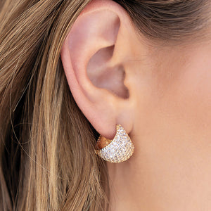 Huggie Earrings