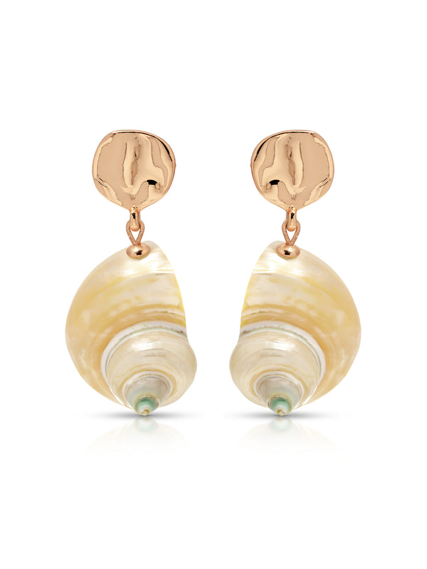 Sunken Treasure Shell Earrings