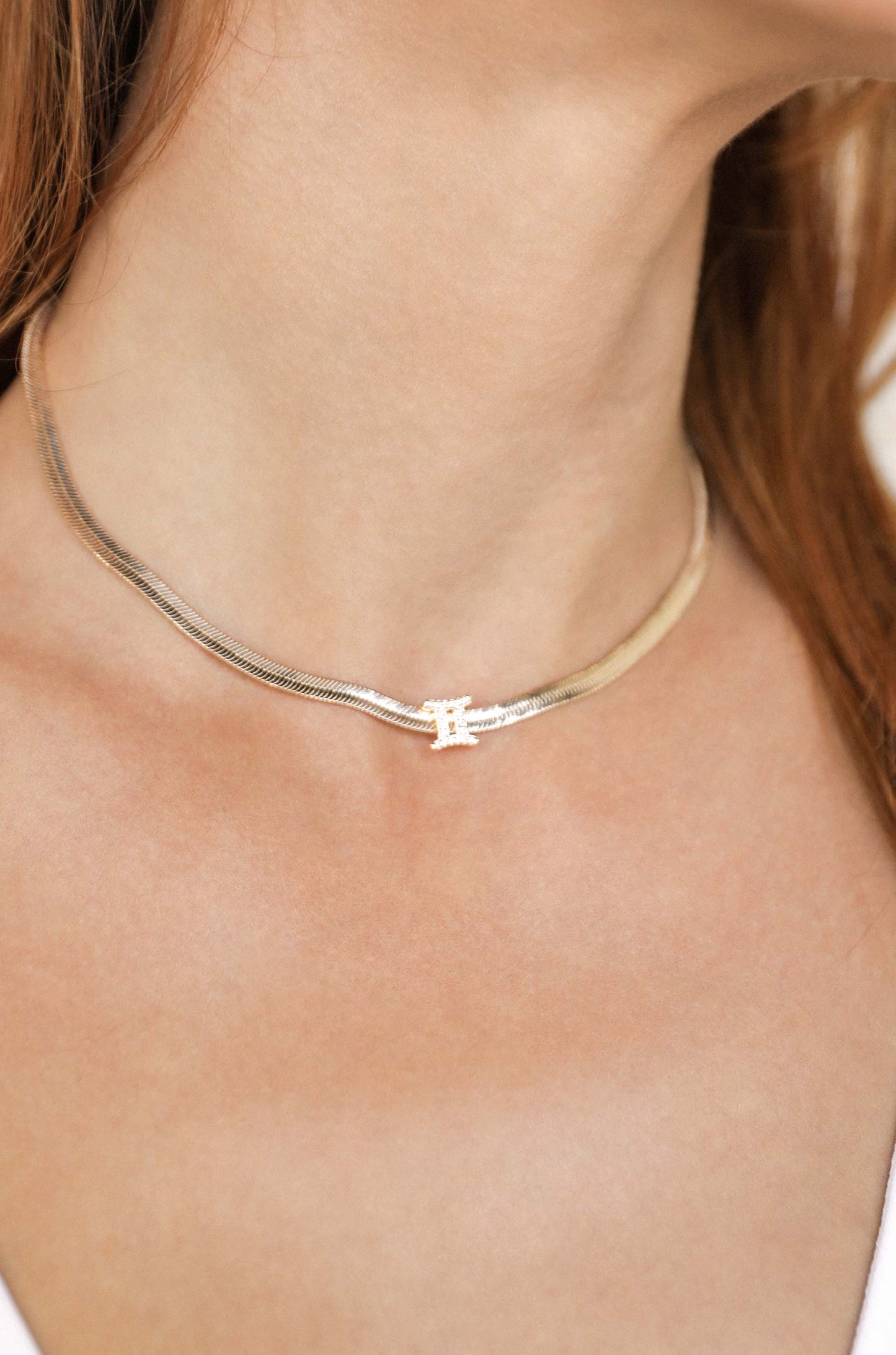 Zodiac Herringbone 18k Gold Plated Necklace on model 6
