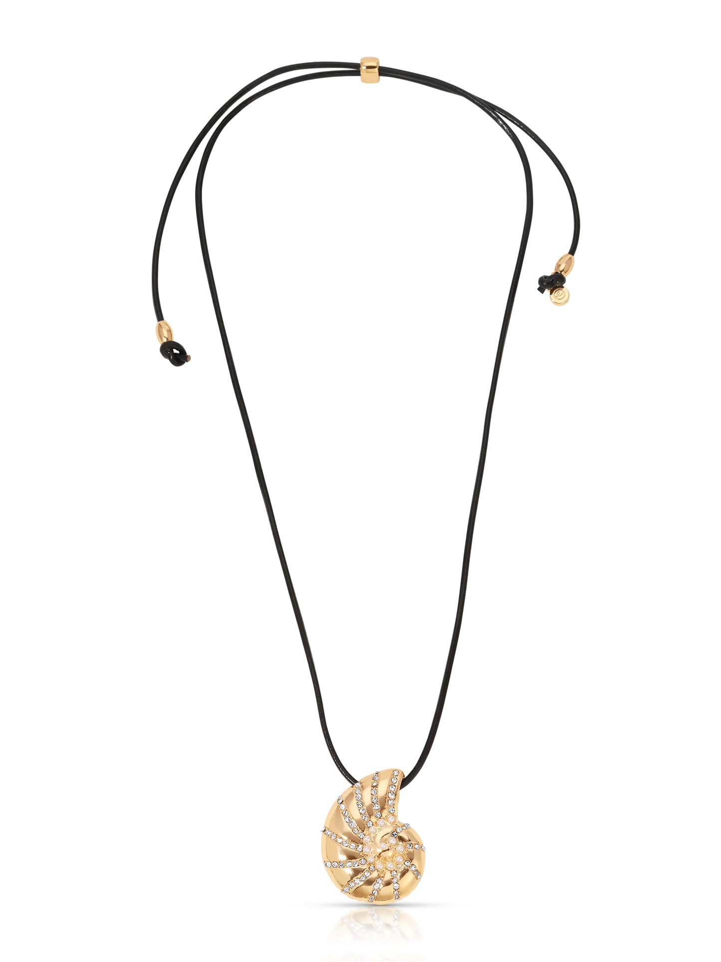 Nautilus Shell Pendant Black Cord Necklace close up