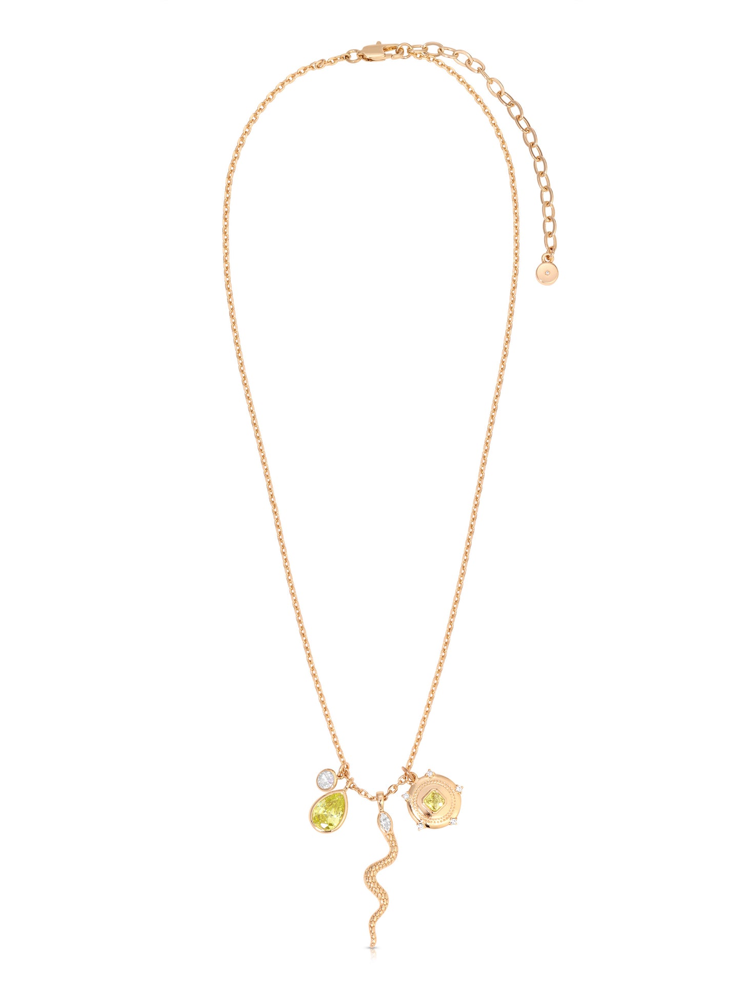 Serpentina Charm Necklace full