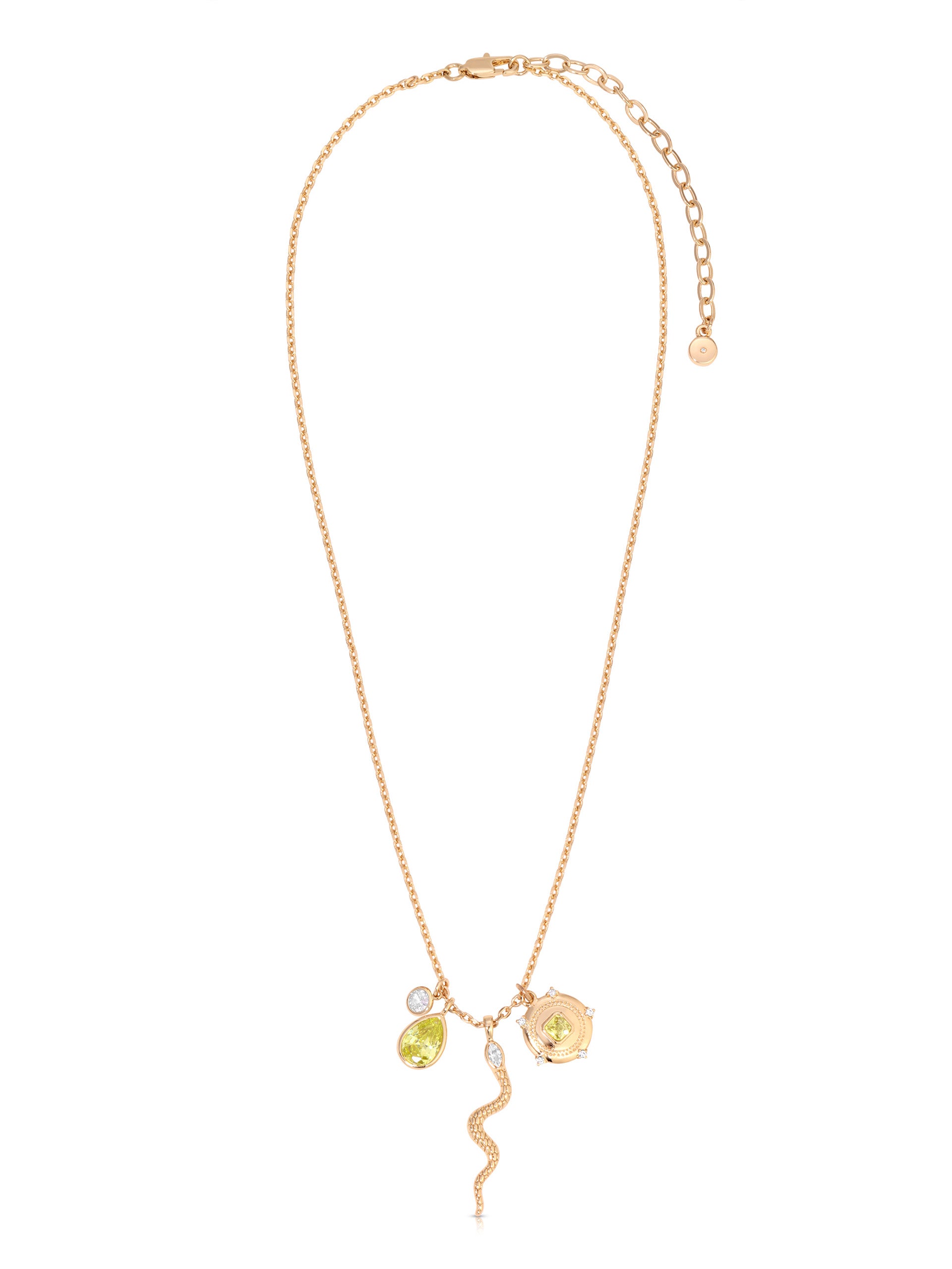 Serpentina Charm Necklace full