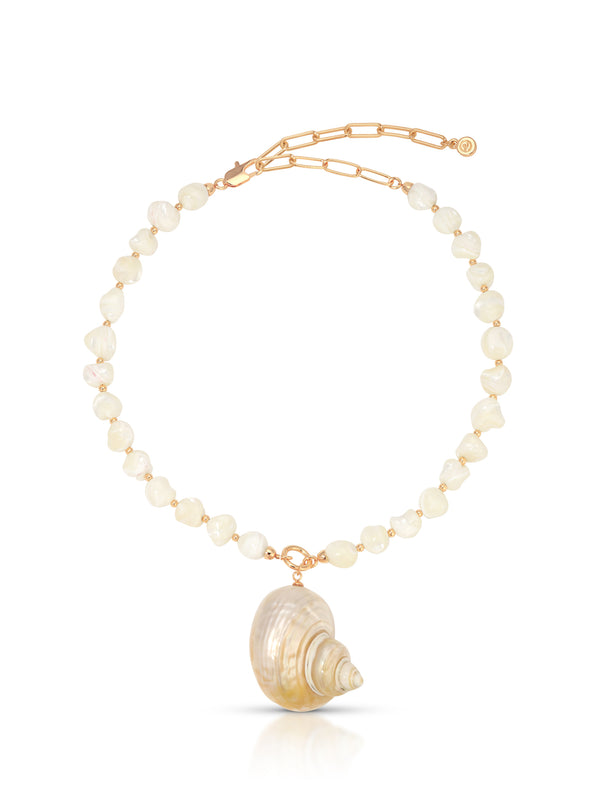 Sunken Treasure Shell Necklace