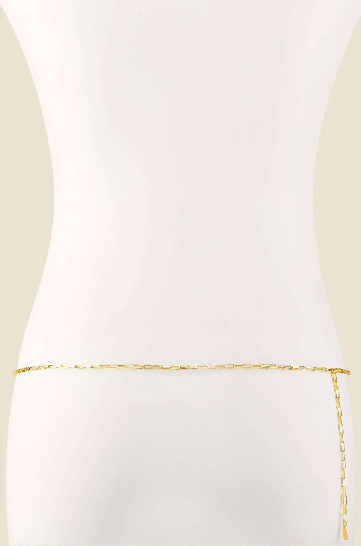 All Day Belt in Gold back