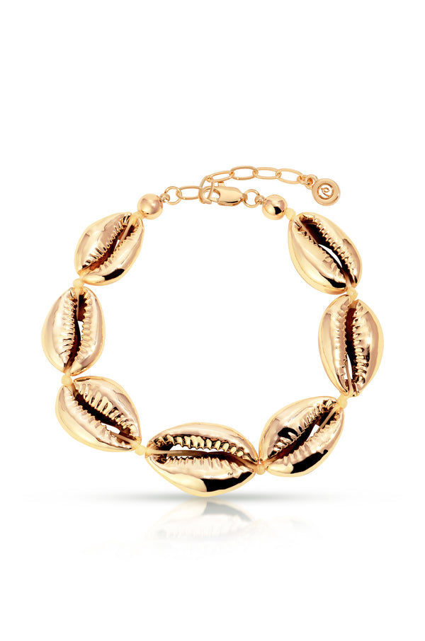 Seven Seas Shell Bracelet