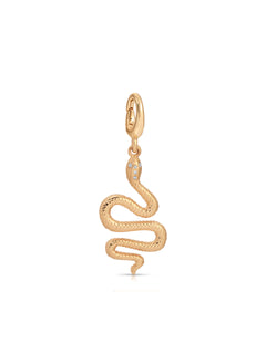 Snake Charm