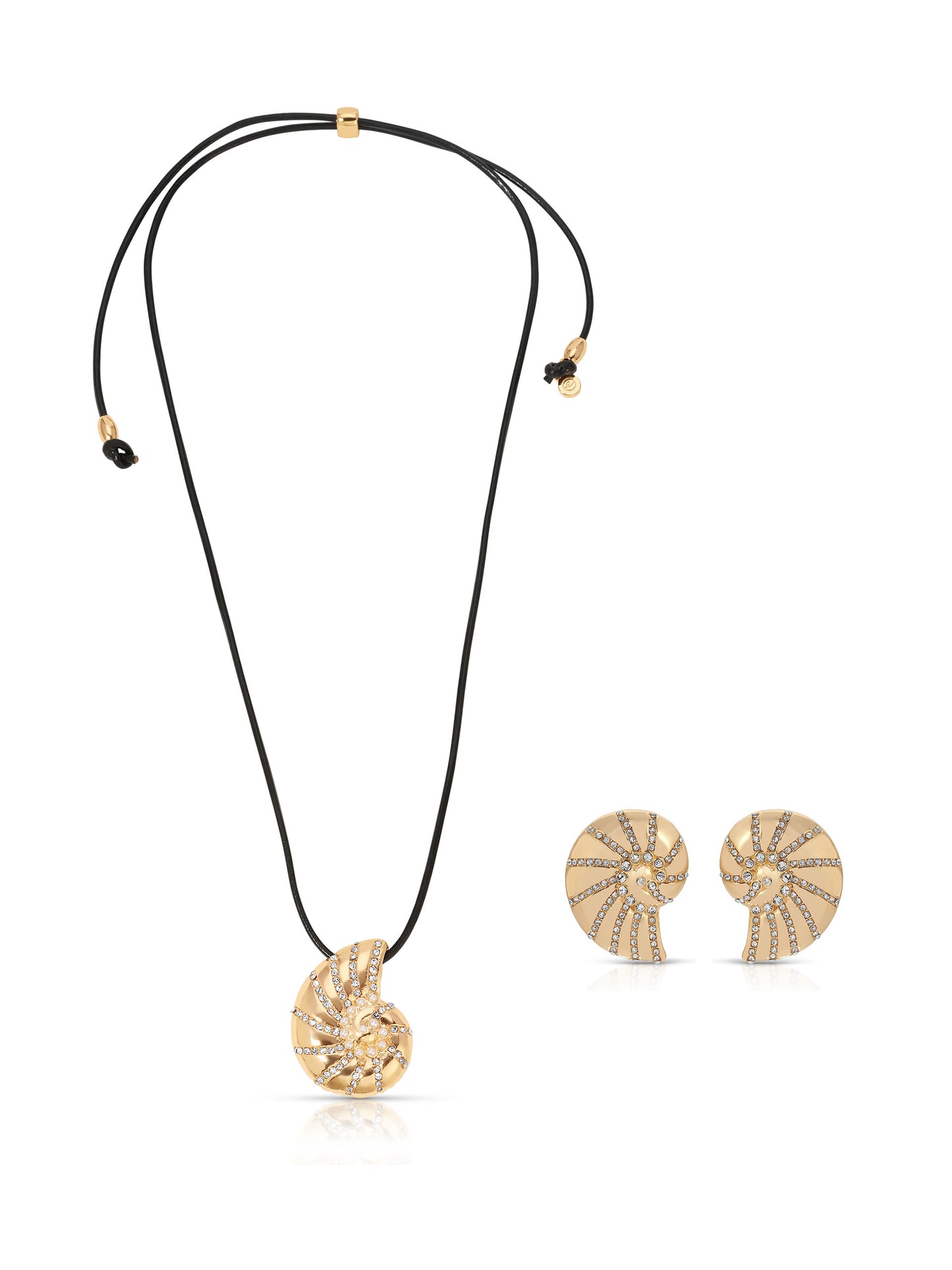 Chunky Nautilus Shell Set