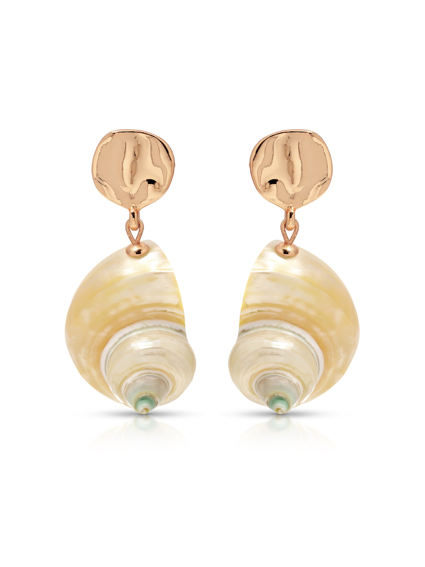 Sunken Treasure Shell Earrings