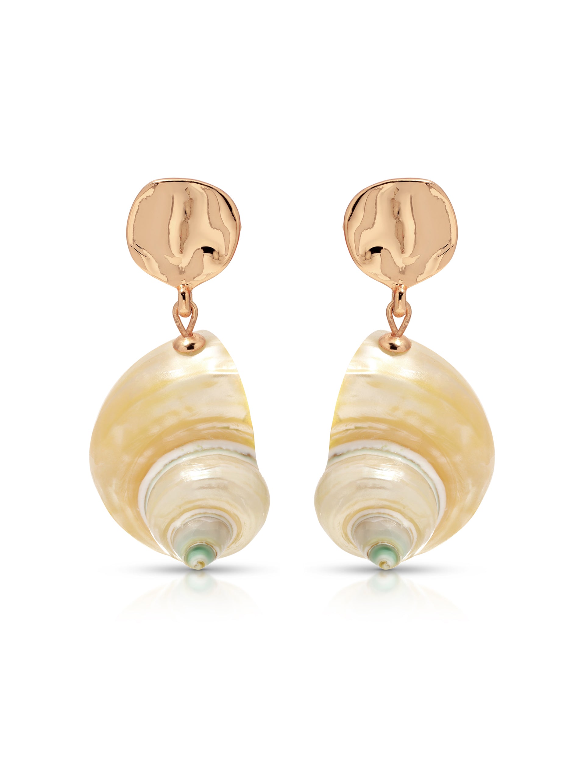 Sunken Treasure Shell Earrings