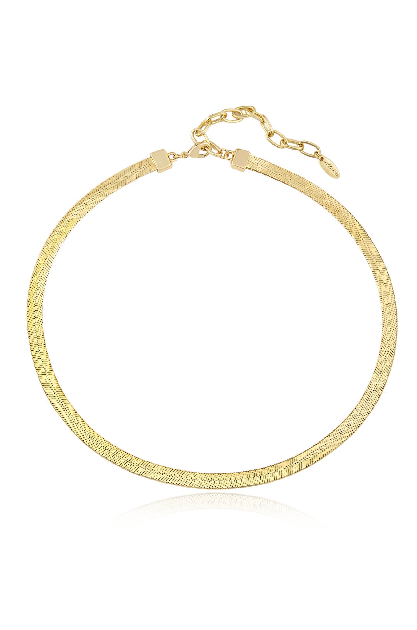 Brooklyn Flat 18k Gold Plated Snake Chain Necklace