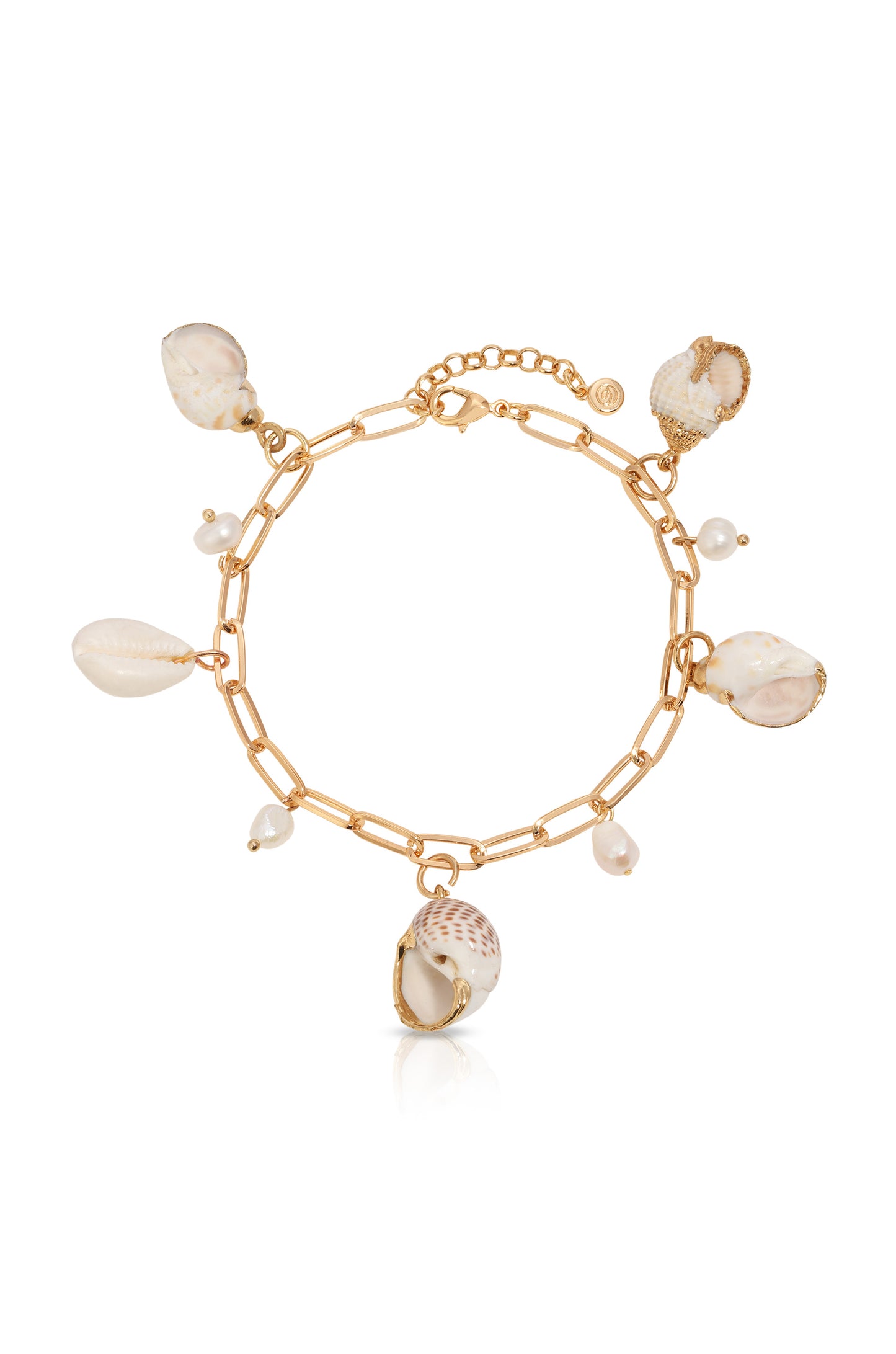 Paperclip Chain Conch Shell Charm Anklet