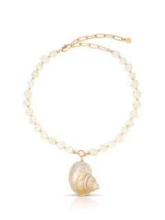 Sunken Treasure Shell Necklace