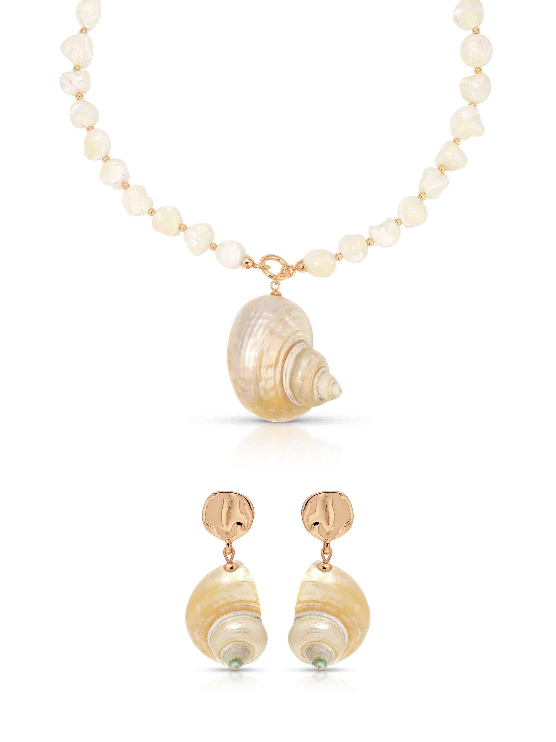 Sunken Treasure Shell Set