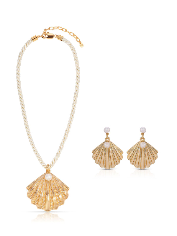 Scallop Shell Set