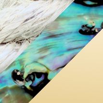 Abalone Luxe Choker