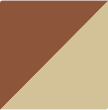 Modern Western Belt in Mocha