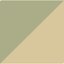 Cascade Chain Belt in Olivine